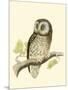 Morris Tengmalm's Owl-Reverend Francis O. Morris-Mounted Art Print