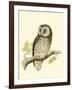 Morris Tengmalm's Owl-Reverend Francis O. Morris-Framed Art Print