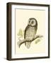 Morris Tengmalm's Owl-Reverend Francis O. Morris-Framed Art Print