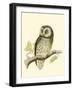 Morris Tengmalm's Owl-Reverend Francis O. Morris-Framed Art Print