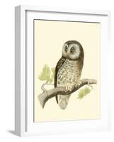 Morris Tengmalm's Owl-Reverend Francis O. Morris-Framed Art Print