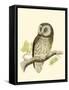 Morris Tengmalm's Owl-Reverend Francis O. Morris-Framed Stretched Canvas