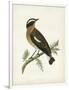 Morris Whinchat-Reverend Francis O. Morris-Framed Art Print