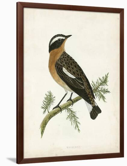 Morris Whinchat-Reverend Francis O. Morris-Framed Art Print