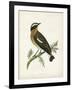 Morris Whinchat-Reverend Francis O. Morris-Framed Art Print