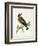 Morris Whinchat-Reverend Francis O. Morris-Framed Art Print