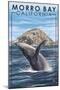 Morro Bay, CA - Humpback Whale-Lantern Press-Mounted Art Print