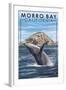 Morro Bay, CA - Humpback Whale-Lantern Press-Framed Art Print