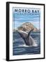 Morro Bay, CA - Humpback Whale-Lantern Press-Framed Art Print