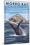 Morro Bay, CA - Humpback Whale-Lantern Press-Mounted Art Print