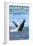 Morro Bay, CA - Humpback Whale-Lantern Press-Framed Art Print