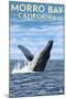 Morro Bay, CA - Humpback Whale-Lantern Press-Mounted Art Print