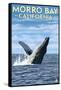 Morro Bay, CA - Humpback Whale-Lantern Press-Framed Stretched Canvas