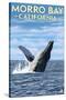 Morro Bay, CA - Humpback Whale-Lantern Press-Stretched Canvas