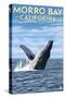 Morro Bay, CA - Humpback Whale-Lantern Press-Stretched Canvas