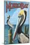 Morro Bay, CA - Pelicans-Lantern Press-Mounted Art Print