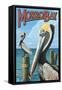 Morro Bay, CA - Pelicans-Lantern Press-Framed Stretched Canvas