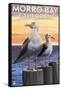 Morro Bay, CA - Sea Gulls-Lantern Press-Framed Stretched Canvas