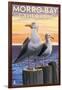 Morro Bay, CA - Sea Gulls-Lantern Press-Framed Art Print