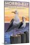 Morro Bay, CA - Sea Gulls-Lantern Press-Mounted Art Print