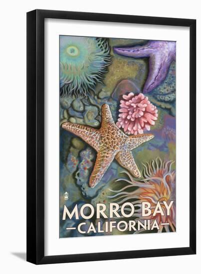 Morro Bay, CA - Tidepool-Lantern Press-Framed Art Print