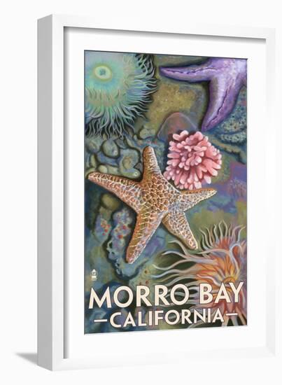 Morro Bay, CA - Tidepool-Lantern Press-Framed Art Print