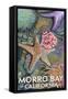 Morro Bay, CA - Tidepool-Lantern Press-Framed Stretched Canvas