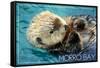 Morro Bay, California - Sea Otter-Lantern Press-Framed Stretched Canvas