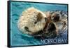 Morro Bay, California - Sea Otter-Lantern Press-Framed Stretched Canvas