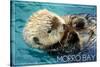 Morro Bay, California - Sea Otter-Lantern Press-Stretched Canvas