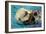 Morro Bay, California - Sea Otter-Lantern Press-Framed Art Print