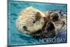 Morro Bay, California - Sea Otter-Lantern Press-Mounted Art Print