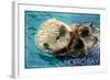 Morro Bay, California - Sea Otter-Lantern Press-Framed Art Print