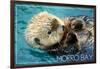 Morro Bay, California - Sea Otter-Lantern Press-Framed Art Print