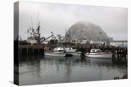 Morro Rock in Fog-Stuart-Stretched Canvas