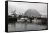 Morro Rock in Fog-Stuart-Framed Stretched Canvas