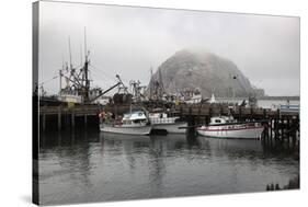 Morro Rock in Fog-Stuart-Stretched Canvas