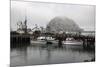 Morro Rock in Fog-Stuart-Mounted Photographic Print