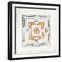 Morrocan Coral IV-Tom Reeves-Framed Art Print