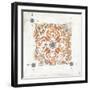 Morrocan Coral V-Tom Reeves-Framed Art Print