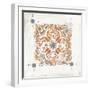 Morrocan Coral V-Tom Reeves-Framed Art Print