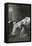 Mort De Jean Valjean Entre Cosette Et Marius - Illustration from Les Misérables,19th Century-Alphonse Marie de Neuville-Framed Stretched Canvas