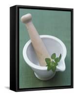 Mortar and Pestle with Thai Basil-Peter Medilek-Framed Stretched Canvas