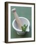 Mortar and Pestle with Thai Basil-Peter Medilek-Framed Photographic Print