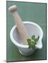 Mortar and Pestle with Thai Basil-Peter Medilek-Mounted Photographic Print