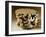 Mortar Originating from Chiriqui-null-Framed Giclee Print