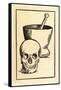 Mortar Pestle and Skull-null-Framed Stretched Canvas