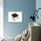 Mortarboard and Diploma-Lew Robertson-Photographic Print displayed on a wall