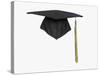 Mortarboard-Lew Robertson-Stretched Canvas