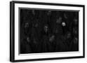 Chelsea Black